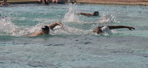 Blue Ocean Aquatics Polar Bear Challenge Aug 2026