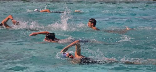 Blue Ocean Aquatics Polar Bear Challenge Aug 2026