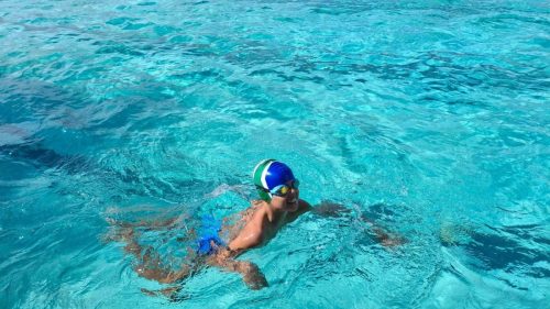 Blue Ocean Aquatics Polar Bear Challenge Aug 2026