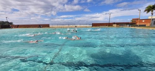 Blue Ocean Aquatics Polar Bear Challenge Aug 2026