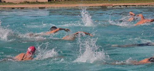 Blue Ocean Aquatics Polar Bear Challenge Aug 2026